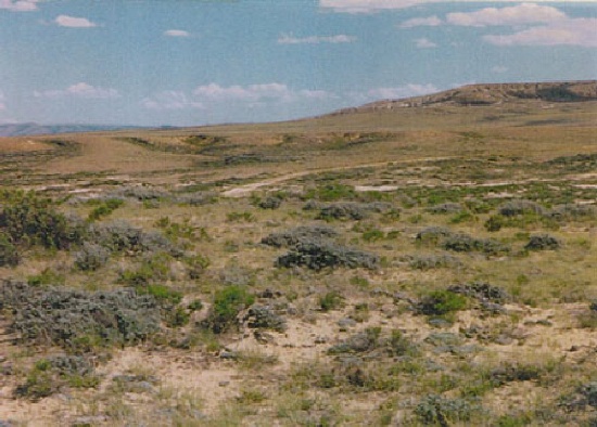 GovernmentAuction.com NV LAND, 39.28 AC., LARGE ACREAGE!