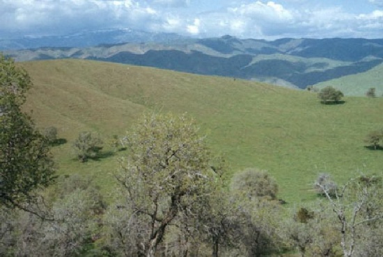 GovernmentAuction.com CA LAND, 2.90 AC., BEAR VALLEY