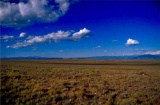 GovernmentAuction.com NM LAND, 10 AC., LUNA COUNTY,