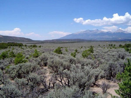 5 Acre Breathtaking Colorado Assume Foreclosure! Spectacular Buy!