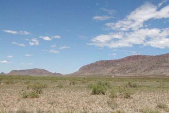 GovernmentAuction.com NM LAND, 10 AC., LUNA COUNTY,