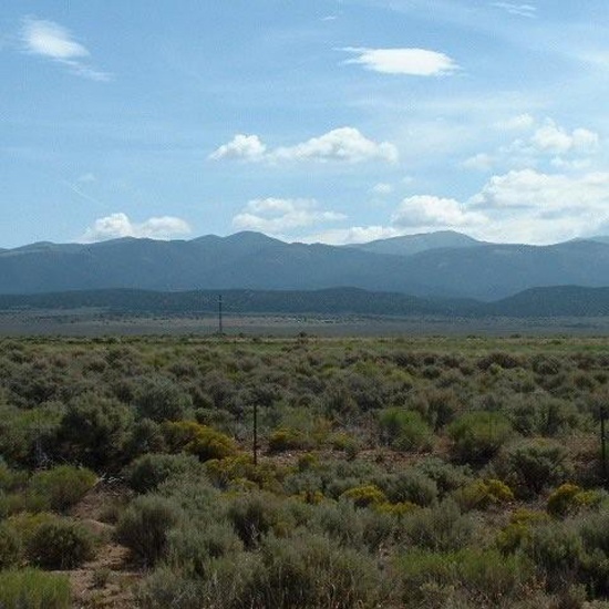 5 Acre Gorgeous Colorado Assume Foreclosure! Spectacular Buy!