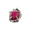 APP: 2.9k Fine Jewelry 4.26CT Ruby And Topaz Sterling Silver Pendant