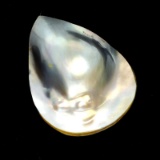 APP: 0.4k Natural Form Mabe Pearl Gemstone