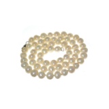 APP: 0.3k 16'' Pearl Strand with Sterling Silver Clasp Necklace