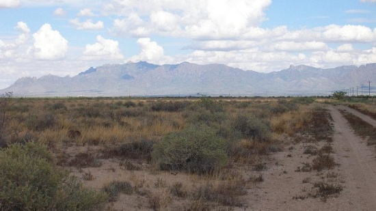 INCREDIBLE 10 ACRE IN LUNA COUNTY, NEW MEXICO INVESTMENT PROPERTY! IMPRESSIVE BUY! BID AND ASSUME FO