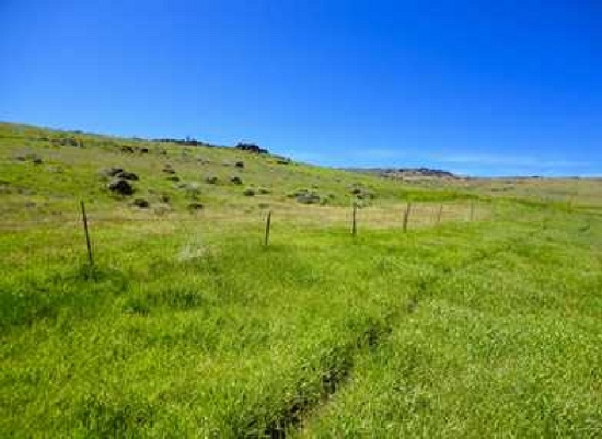 320 Acre Large Acreage Lassen County CA!