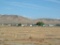 40.49 ACRES RANCHETTE HUMBOLDT NEVADA LAND! CASH SALE! FILE #1590014