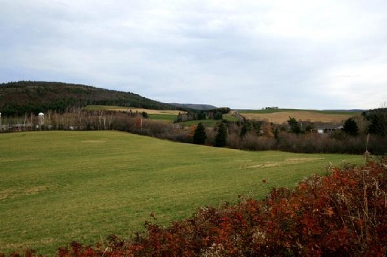STUNNING CANADA LAND! LARGE 150 ACRES IN ONTARIO! EXCELLENT INVESTMENT! BID AND ASSUME! TAKE OVER PA