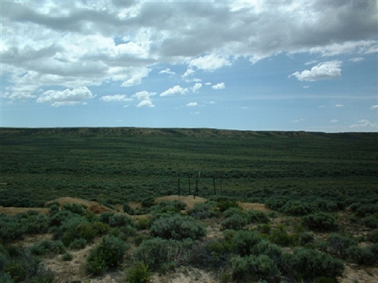 TAKE OVER PAYMENTS! BEAUTIFUL WY LAND! 40 AC. IN SWEETWATER COUNTY! HUNTING! EXCELLENT INVESTMENT!