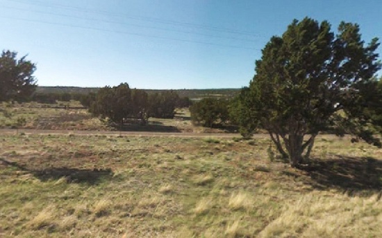 BEAUTIFUL 10 ACRE IN APACHE COUNTY, ARIZONA! ASSUME PAYMENTS! EXCELLENT INVESTMENT!