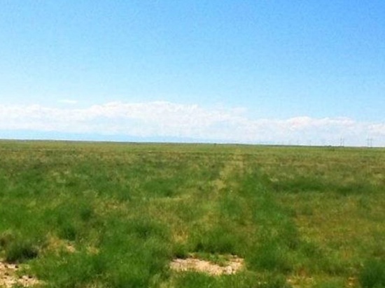 BEAUTIFUL COLORADO LAND! 42.44 ACRES! LARGE ACREAGE! IMPRESSIVE INVESTMENT! TAKE OVER PAYMENTS!