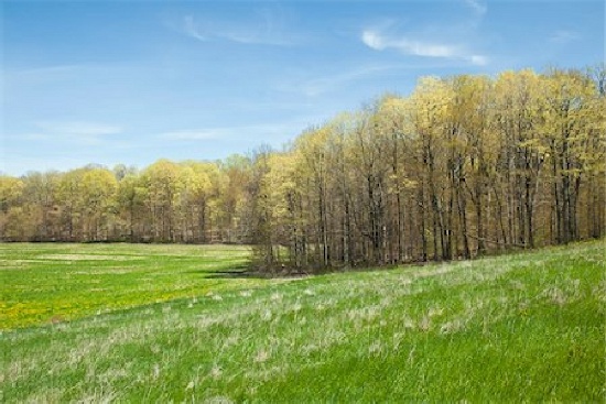 GORGEOUS ONE OF A KIND PROPERTY IN PRINCE COUNTY, CANADA WITH BREATHTAKING VIEWS! START YOUR LAND PO