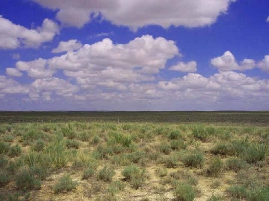 BREATHTAKING 61.95 ACRE COLORADO LAND! ASSUME PAYMENTS FORECLOSURE! GREAT INVESTMENT!