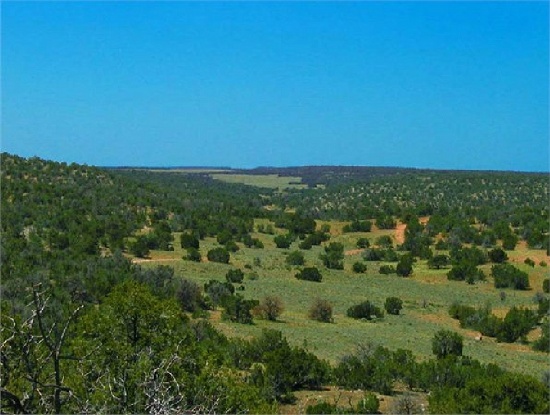 STUNNING 2.5 ACRE IN NAVAJO COUNTY, ARIZONA! MINI RANCHETTE! START YOUR LAND PORTFOLIO NOW! FORECLOS