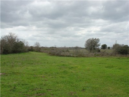 BID AND ASSUME! INCREDIBLE TX LAND IN DEERWOOD LAKES! 50 MILES FROM HOUSTON!