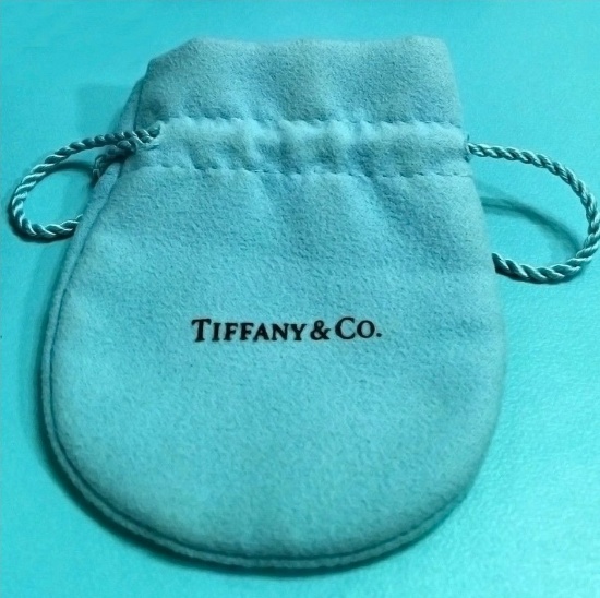 Beautiful Tiffany & Co Suede Blue Pouch