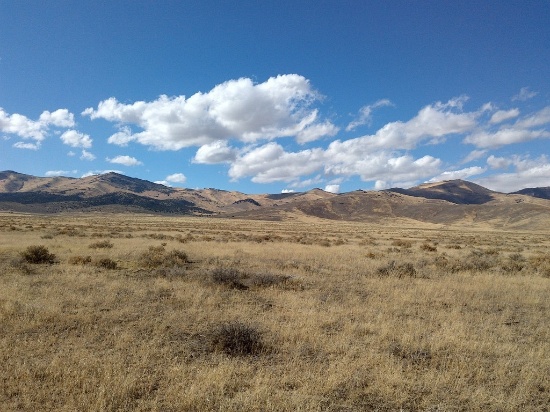 ASSUME PAYMENTS! INCREDIBLE 80.60 ACRE IN HUMBOLDT COUNTY, NEVADA!