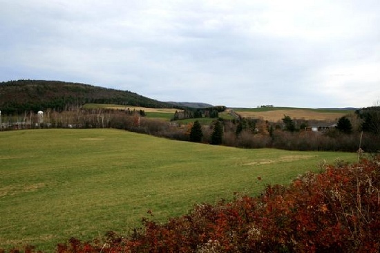 STUNNING CANADA LAND! LARGE 150 ACRES IN ONTARIO! EXCELLENT INVESTMENT! BID AND ASSUME!