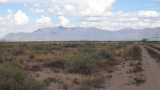 BIDANDASSUME FORECLOSURE! GORGEOUS NEW MEXICO LAND IN LUNA COUNTY! INVEST/RETIRE! EXCELLENT BUY!