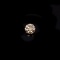 Fine Jewelry GIA Certified 0.32CT Brilliant Round Cut Diamond Gemstone