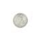 XXXX Liberty Seated Half Dime Coin