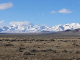 FORECLOSURE JUST TAKE OVER PAYMENTS! STUNNING 42.46 ACRE NEVADA RANCHETTE! GREAT INVESTMENT!