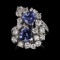 APP: 13k *3.57ctw Tanzanite and 2.07ctw Diamond 14K White Gold Ring (Vault_R7_23975)