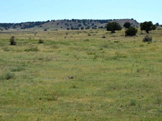 BREATHTAKING 40 ACRE IN BENT COUNTY COLORADO!! ASSUME PAYMENTS FORECLOSURE! GREAT INVESTMENT!