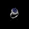 APP: 13.5k Fine Jewelry 14 KT White Gold, 6.72CT Tanzanite And Diamond Ring