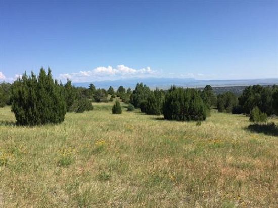 INCREDIBLE COLORADO LAND, GOLF AND LAKE COMMUNITY! TAKE OVER PAYMENTS!