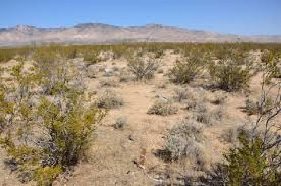 California City, CA 2.5 Acre Mini Ranchette! Close to Booming Lancaster! Just Take over Payments!