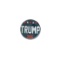 2016 Presidential Cadidate Donald Trump Campaign Pin (Design 9)