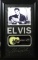 Elvis Mini Guitar - Plate Signatures