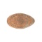 Patton Memorial Museum - Chiriaco Summit California Elongated Pressed Penny