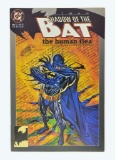 Batman Shadow of the Bat (1992) #11