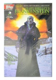 Mary Shelley's Frankenstein (1994) #2