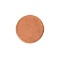 Mint U.S. 1 Cent Blank Planchet Coin