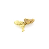Gorgeous Nuggets Weighing 1g Gold Great Investment