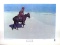 FREDERIC REMINGTON (After) The Scout: Friends or Enemies Print, 28.5'' x 21.5''