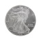 Rare 1 Ounce American Silver Eagle Great Investment