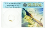 49'er Global California Gold S.S. Central America Coin