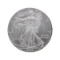 Rare 1 Ounce American Silver Eagle Great Investment
