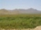 Gorgeous One of a Kind 10 Acre Texas Ranchette! Just Take Over Payments! (Vault_PNR)