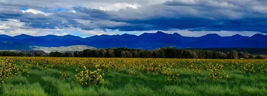 Gorgeous 5 Acre Colorado Ranchette!!!! Close to Rio Grande River in Costilla County, Colorado!!! Cas