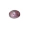 40.80CT Rare Star Ruby Gemstone Great Investment