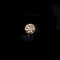 Fine Jewelry GIA Certified 0.30CT Brilliant Round Cut Diamond Gemstone
