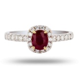 APP: 4.5k 0.65ct Ruby and 0.32ctw Diamond 18K White and Yellow Gold Ring (Vault_R16_38736)