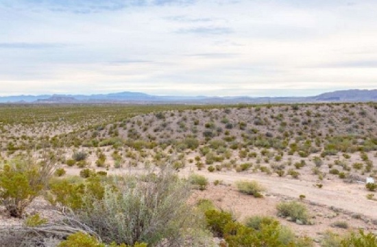 11.37ac TX Parcel Hudspeth County! Land with Access Now Financed! Invest in The Great American West!