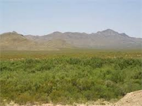 Texas Hudspeth County Gorgeous 10 Acre Property!Great Investment! Cash Sales!! Cash File #2334201